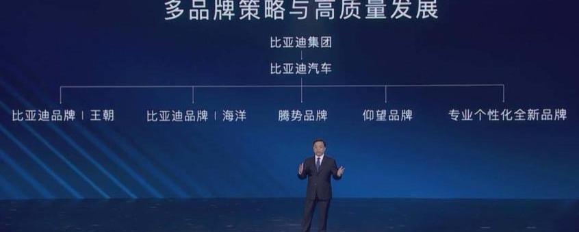 比亚迪,仰望,海鸥,腾势,坦克
