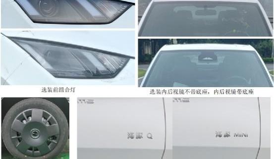 海鸥,海豚,比亚迪,飞度,Polo