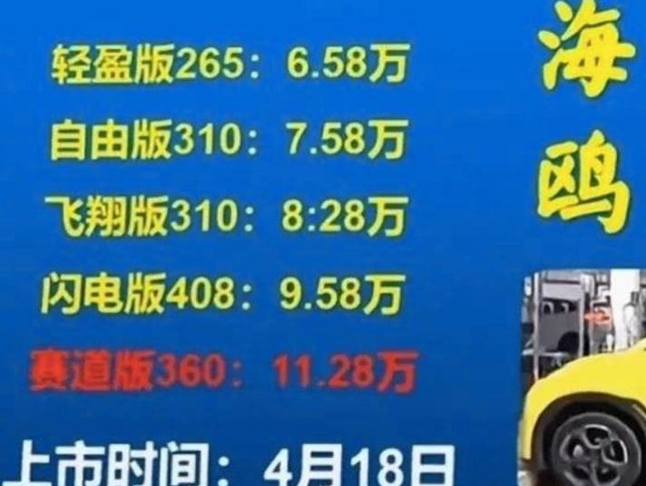 比亚迪,海鸥