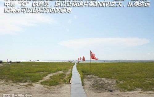 北京,海鸥,丰田,优越,发现