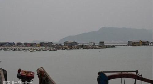 海马,宝马,海鸥,长安,东南