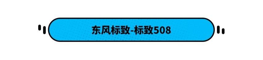 Polo,标致,雅阁,马自达,标致508L