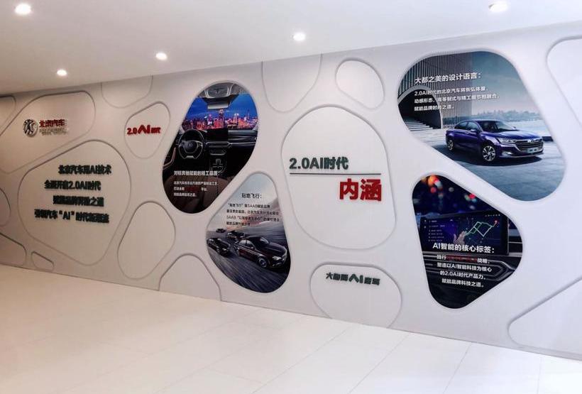 北京,北京汽车,世纪,海豚,理念