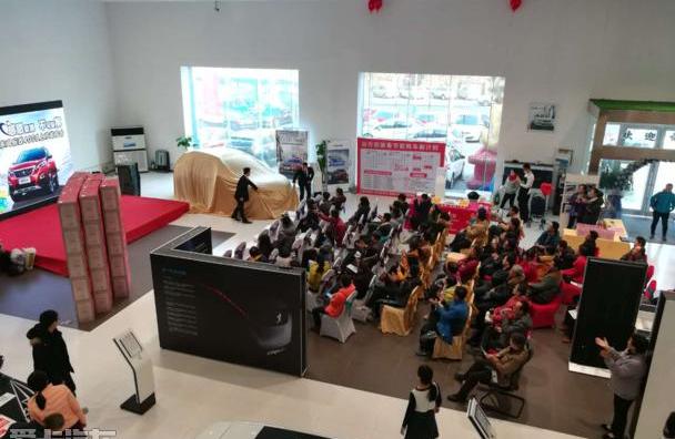 标致,标致4008,东风