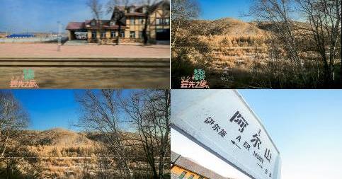 标致,东风,标致4008,北京,理念