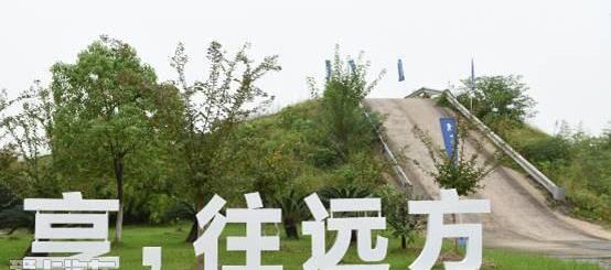标致,东风,汉,标致5008,标致4008