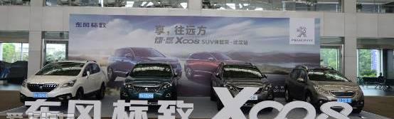 标致,东风,汉,标致5008,标致4008