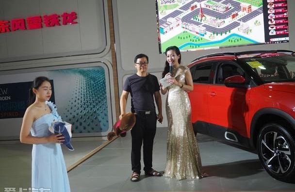 雪铁龙,天逸 C5 AIRCROSS,添越,标致,标致4008