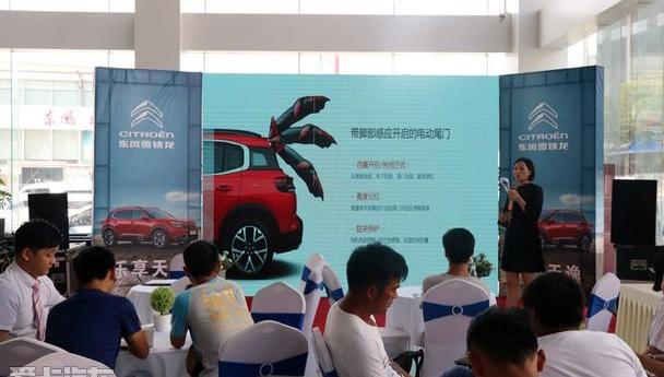 雪铁龙,东风,天逸 C5 AIRCROSS,标致,标致4008