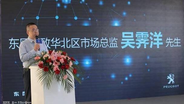 标致,东风,标致2008