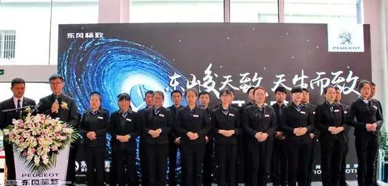 标致,东风,炮,汉,现代
