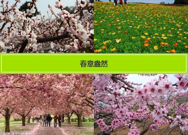 标致