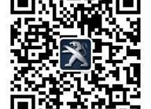 标致,东风,标致4008