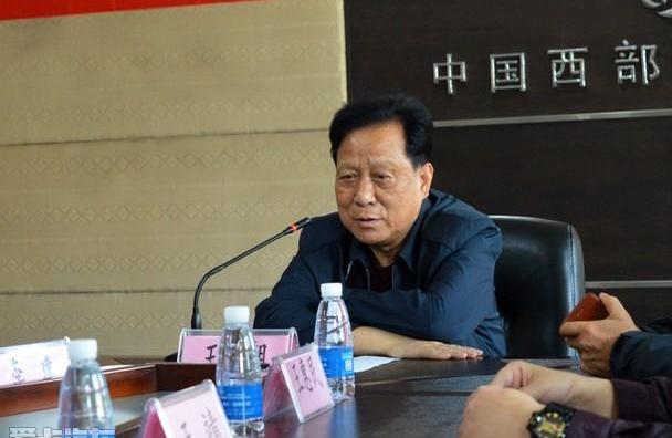 众泰,奔驰,标致,标致4008,奔腾