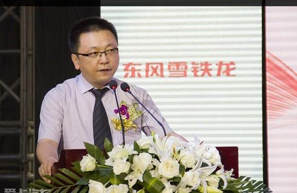 东风,雪铁龙,宝马