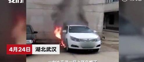 特斯拉,比亚迪,汉,蔚来,Model S