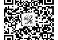 创酷,标致,标致2008,东风,理念