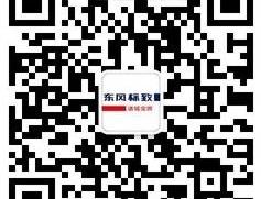 标致,东风,标致2008