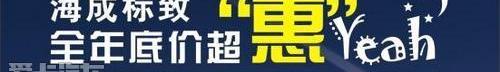 标致,东风,标致2008