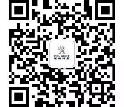 标致,东风,东南,777