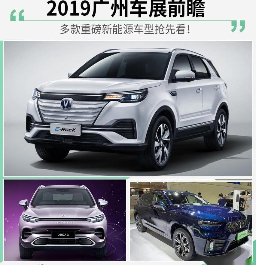 标致,长安,小鹏,比亚迪,DS