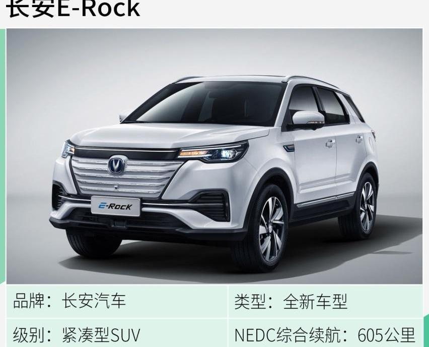 标致,长安,小鹏,比亚迪,DS