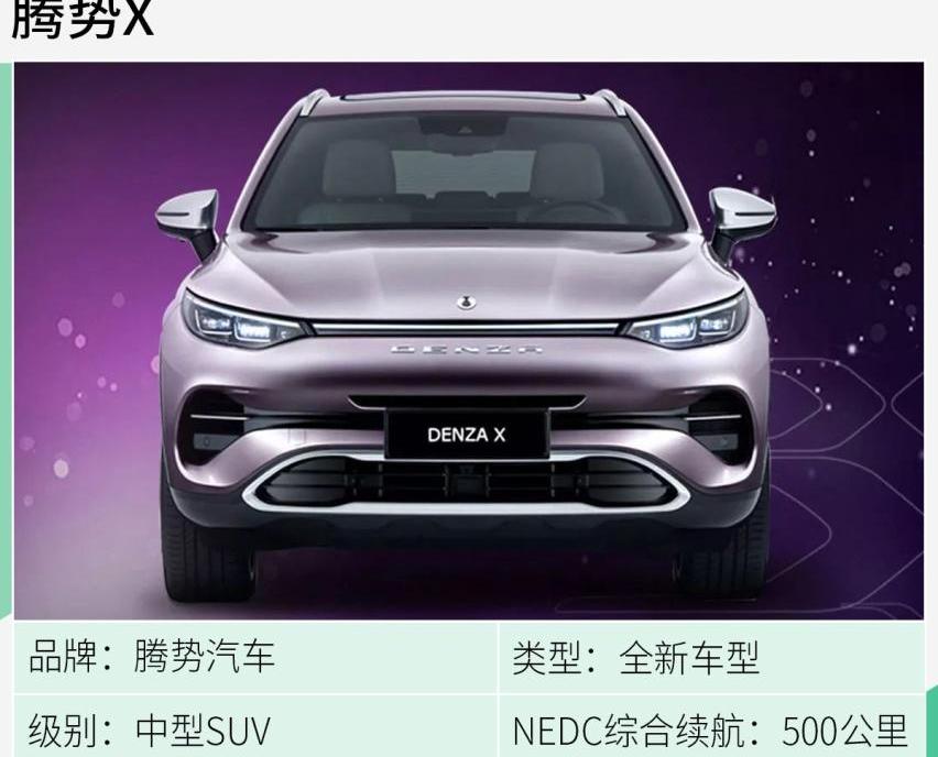标致,长安,小鹏,比亚迪,DS