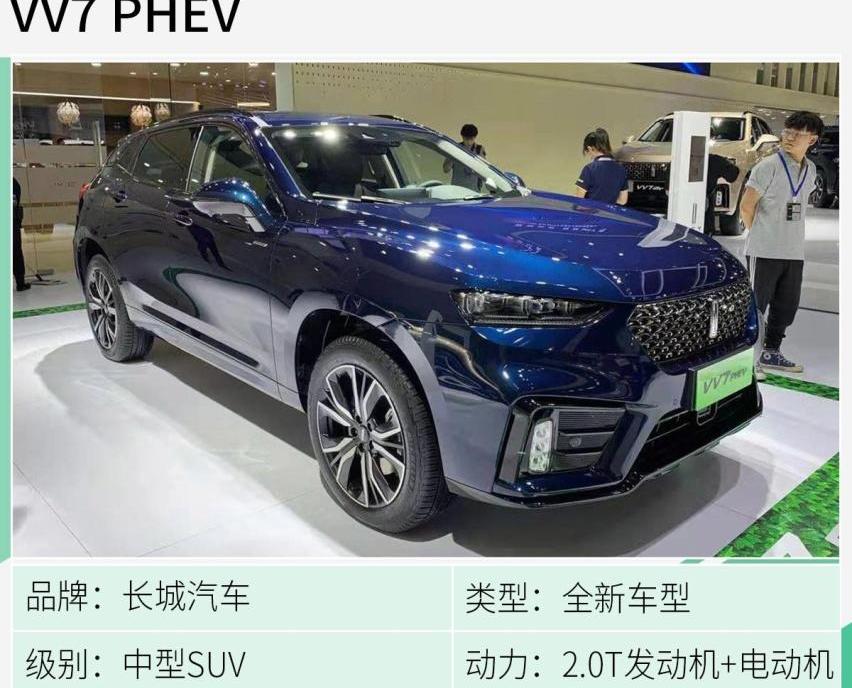 标致,长安,小鹏,比亚迪,DS