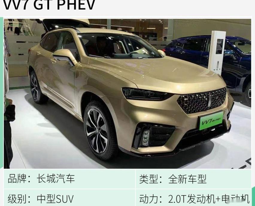 标致,长安,小鹏,比亚迪,DS