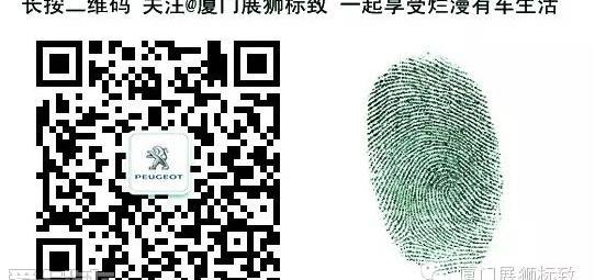 标致,东风