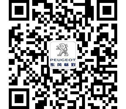 标致,东风,远程