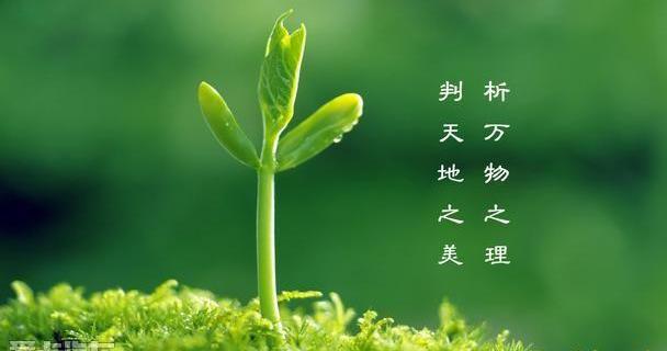 沃尔沃,理念,北京