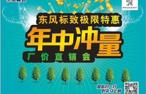 标致,长安,东风,炮