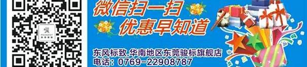 标致,东风,长安