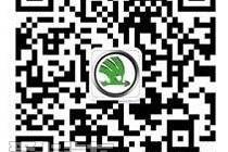 斯柯达,明锐,奥迪,宝马,大众