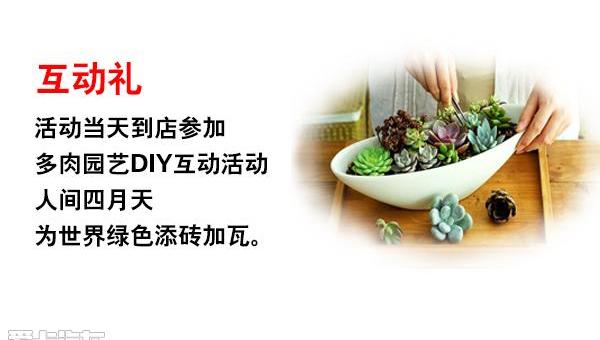 宝马,MINI,现代