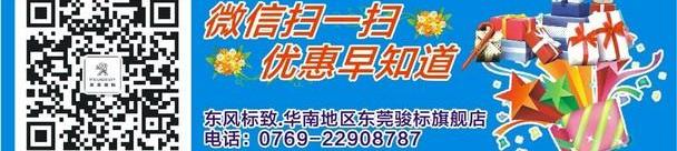标致,东风,长安,炮