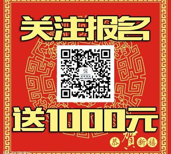 标致,东风,标致2008,炮