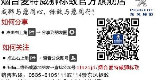 标致,东风