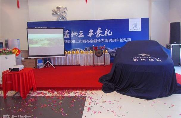 标致,东风,北京,炮
