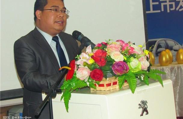 标致,东风,北京,炮