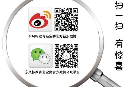 标致,东风