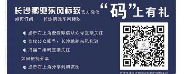 标致,东风