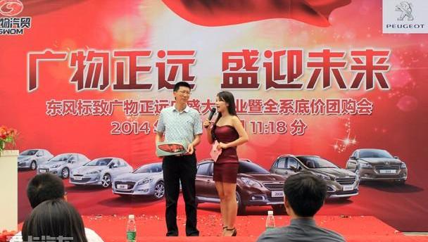 标致,东风,现代