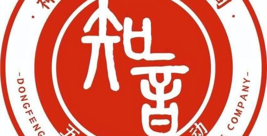 东风,标致,理念,雪铁龙,标致408