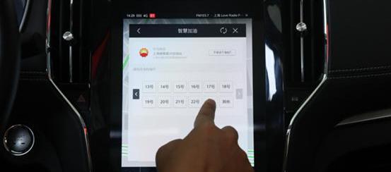 斑马
