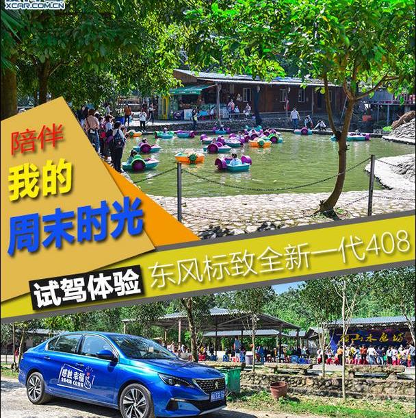 标致,标致408,东风