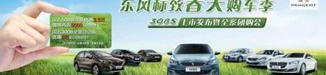 标致,东风,标致408,DS,炮