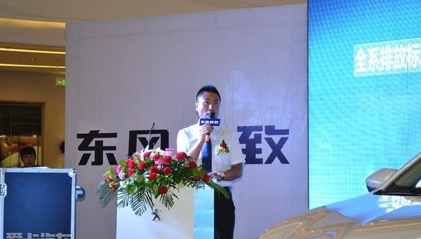 标致,东风,标致408,DS