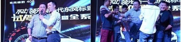 标致,东风,标致408
